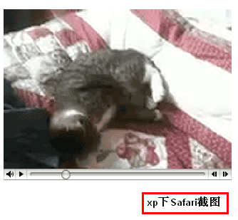 Safari HTML5 video截图 张鑫旭-鑫空间-鑫生活