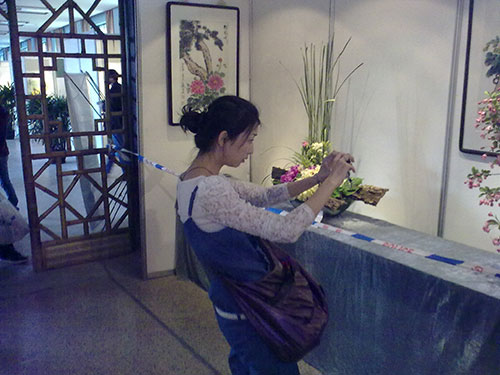 上海植物园之行拍的些美女们 张鑫旭-鑫空间-鑫生活