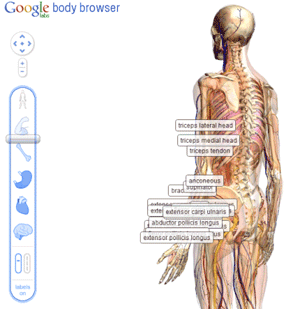 google人体浏览器截图 张鑫旭-鑫空间-鑫生活