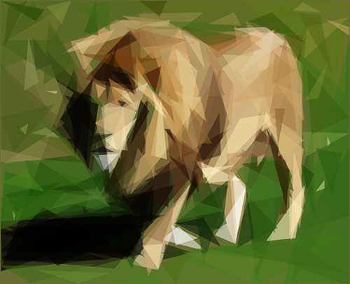 primitive动物-狮子