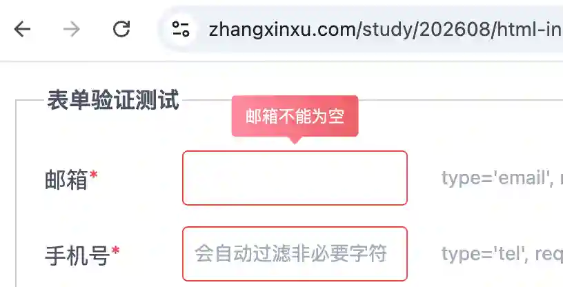 表单效果与验证提示