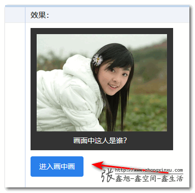 demo点击画中画按钮示意