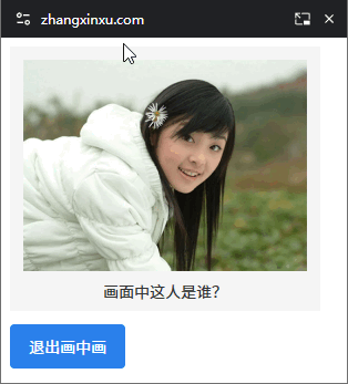 进入画中画状态后